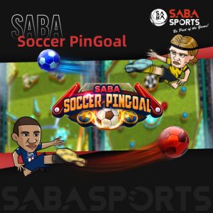 Saba Soccer Pingoal